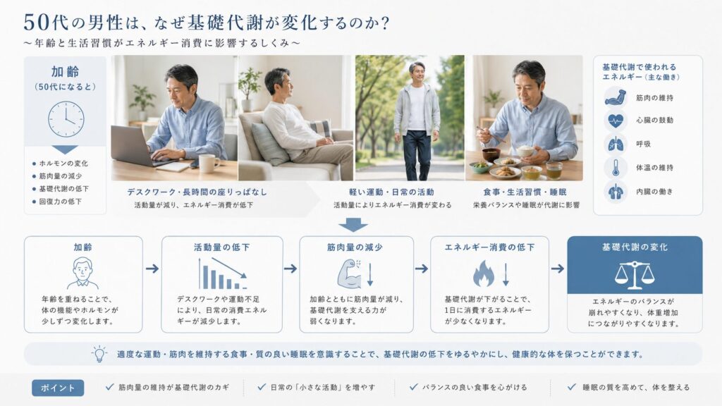 50代男性の活動量や筋肉量の変化を整理したイメージ